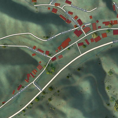 Close-up of the map of Central City, South Dakota print showing street and building detail