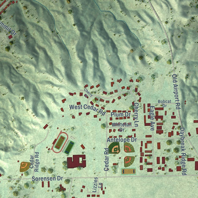 Close-up of the map of Chamberlain, South Dakota print showing street and building detail