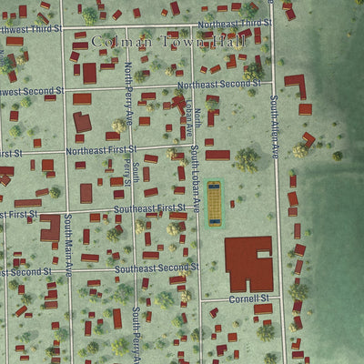 Close-up of the map of Colman, South Dakota print showing street and building detail