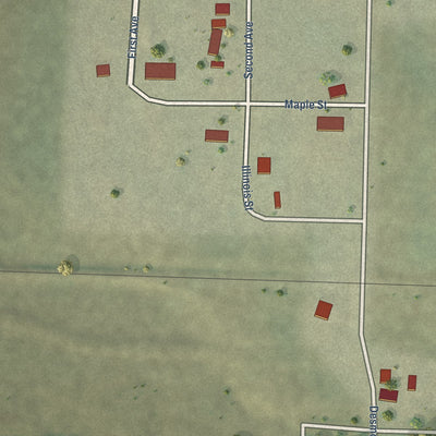 Close-up of the map of Cottonwood, South Dakota print showing street and building detail