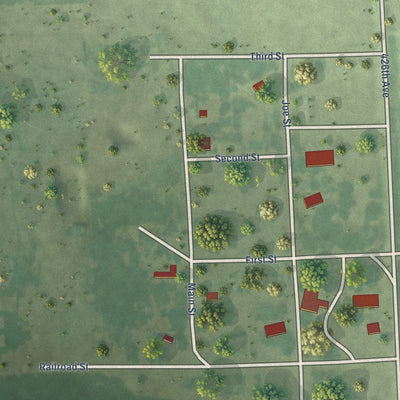 Close-up of the map of Farmer, South Dakota print showing street and building detail
