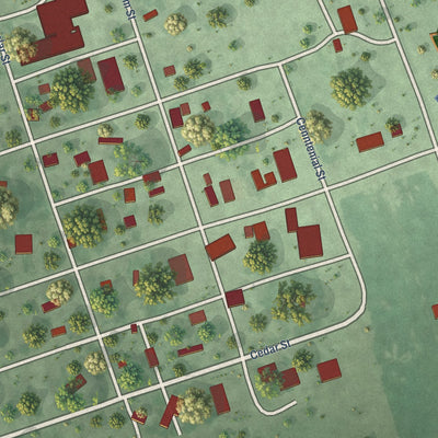 Close-up of the map of Hitchcock, South Dakota print showing street and building detail