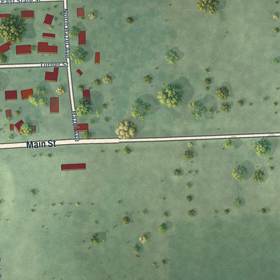 Second close-up of the map of Irene, South Dakota print showing more streets and buildings
