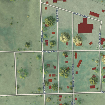 Close-up of the map of La Bolt, South Dakota print showing street and building detail