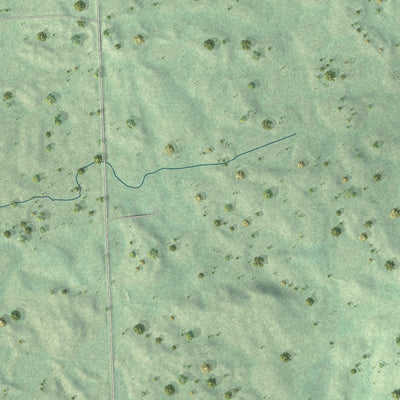 Close-up of the map of Long Hollow, South Dakota print showing street and building detail