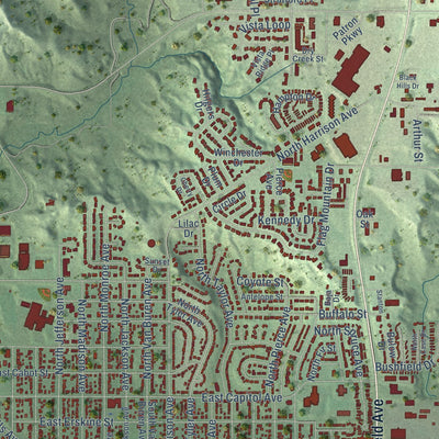 Close-up of the map of Pierre, South Dakota print showing street and building detail