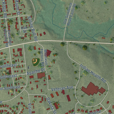 Close-up of the map of Pine Ridge, South Dakota print showing street and building detail