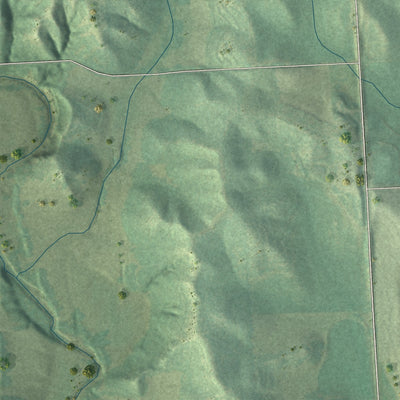 Close-up of the map of Richland, South Dakota print showing street and building detail