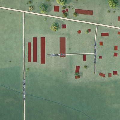 Close-up of the map of Rowena, South Dakota print showing street and building detail