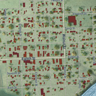 Close-up of the map of Springfield, South Dakota print showing street and building detail