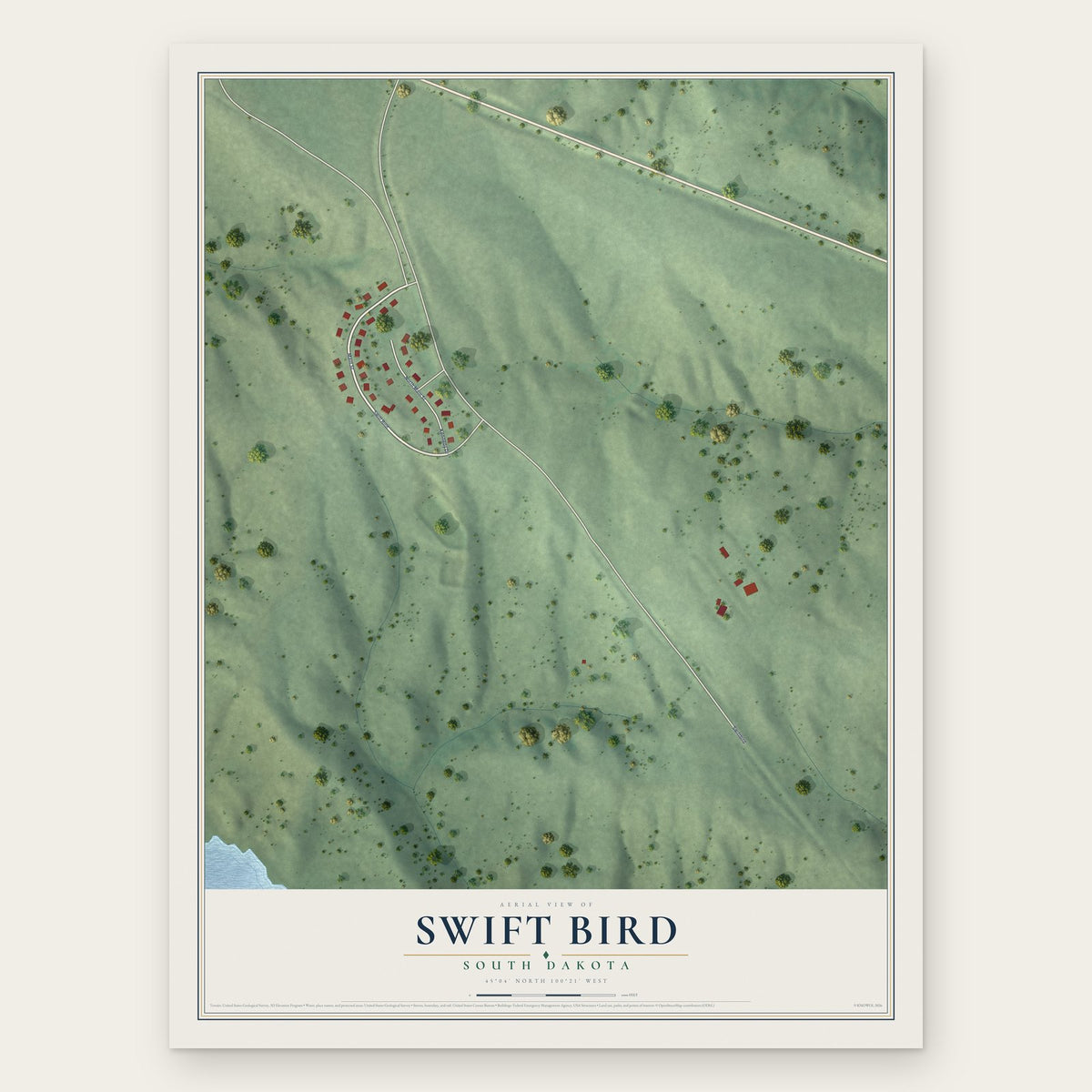 Swift Bird, South Dakota map print, the full design
