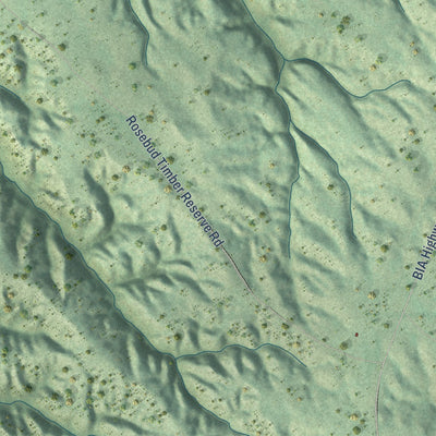 Close-up of the map of Two Strike, South Dakota print showing street and building detail