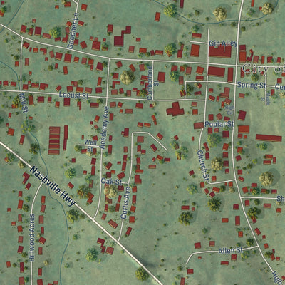 Close-up of the map of Alexandria, Tennessee print showing street and building detail
