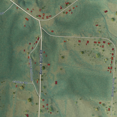 Close-up of the map of Beech Bluff, Tennessee print showing street and building detail