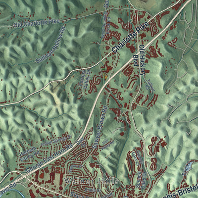Close-up of the map of Bellevue, Tennessee print showing street and building detail