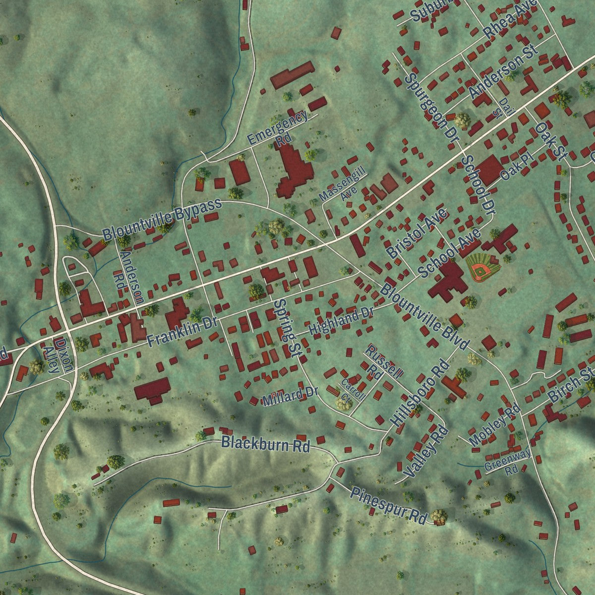 Close-up of the map of Blountville, Tennessee print showing street and building detail