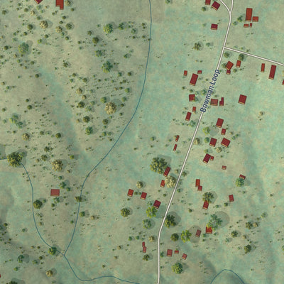 Close-up of the map of Bowman, Tennessee print showing street and building detail