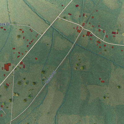 Close-up of the map of Braden, Tennessee print showing street and building detail