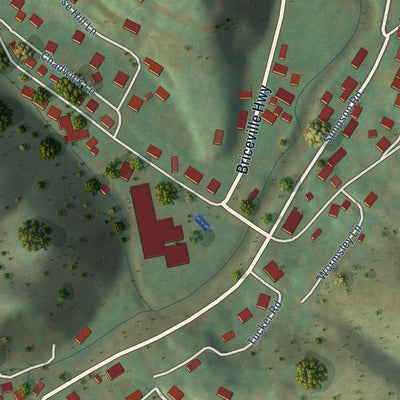 Close-up of the map of Briceville, Tennessee print showing street and building detail