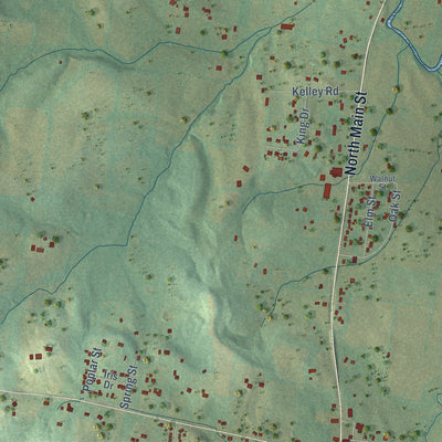 Close-up of the map of College Grove, Tennessee print showing street and building detail