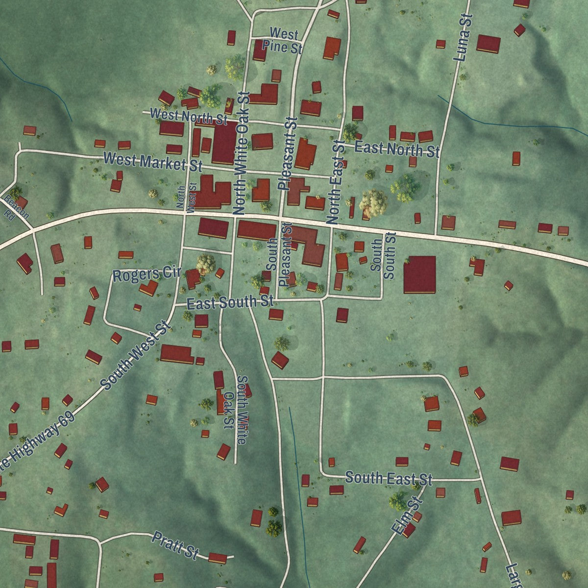 Close-up of the map of Decaturville, Tennessee print showing street and building detail
