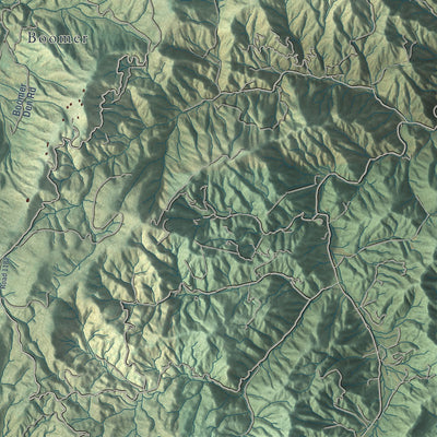 Close-up of the map of Del Rio, Tennessee print showing street and building detail