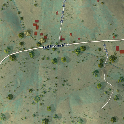Close-up of the map of Dellrose, Tennessee print showing street and building detail