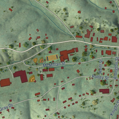 Close-up of the map of Erin, Tennessee print showing street and building detail