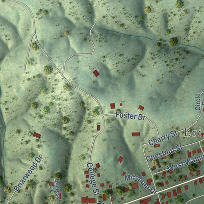 Second close-up of the map of Erin, Tennessee print showing more streets and buildings