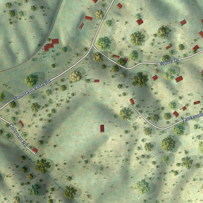 Close-up of the map of Farner, Tennessee print showing street and building detail
