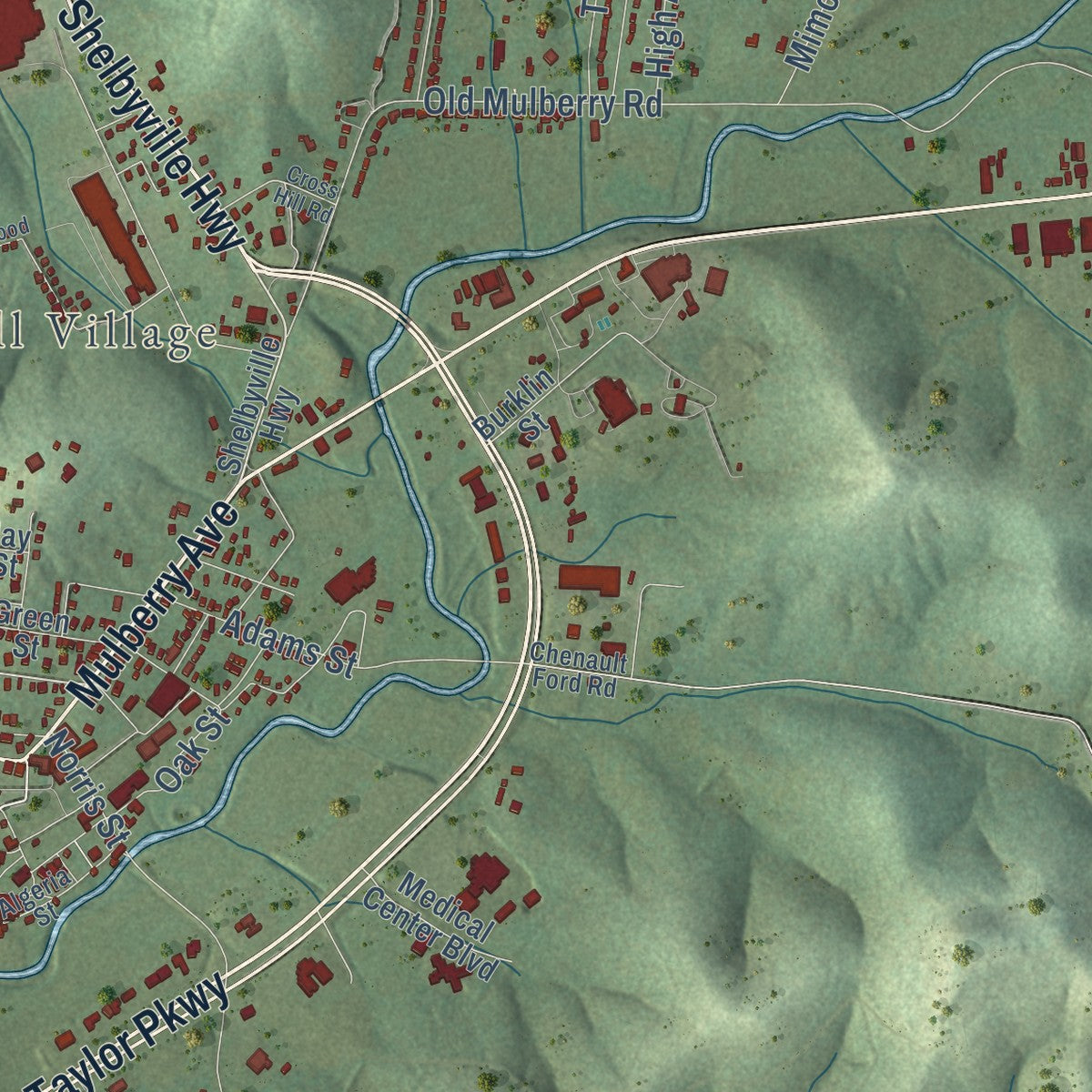 Second close-up of the map of Fayetteville, Tennessee print showing more streets and buildings