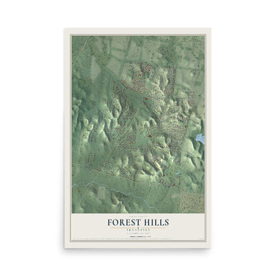 Map of Forest Hills, Tennessee, 12 x 18 inch unframed archival matte print