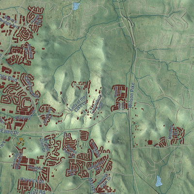 Second close-up of the map of Franklin, Tennessee print showing more streets and buildings