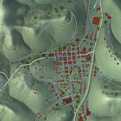 Second close-up of the map of Gainesboro, Tennessee print showing more streets and buildings