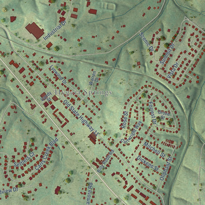 Second close-up of the map of Greenbrier, Tennessee print showing more streets and buildings