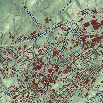 Close-up of the map of Greeneville, Tennessee print showing street and building detail