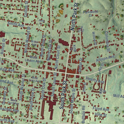 Close-up of the map of Hohenwald, Tennessee print showing street and building detail