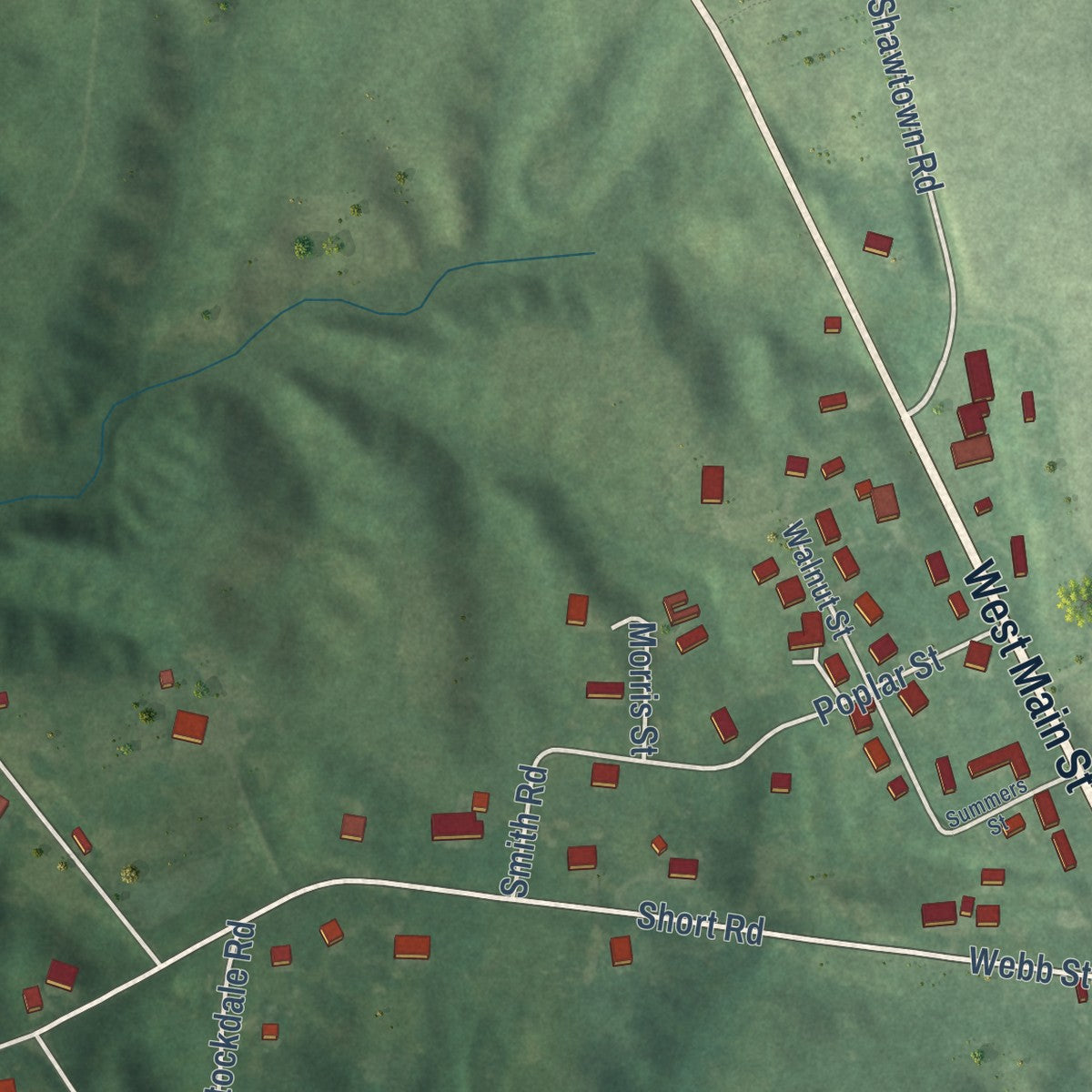 Second close-up of the map of Hornbeak, Tennessee print showing more streets and buildings