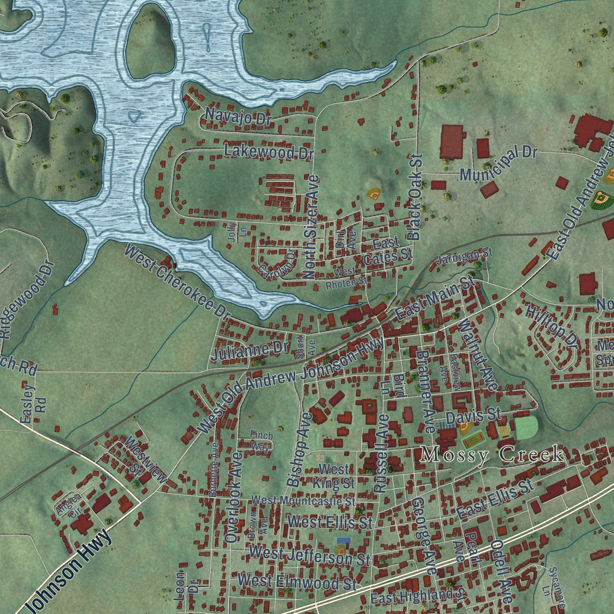 Close-up of the map of Jefferson City, Tennessee print showing street and building detail