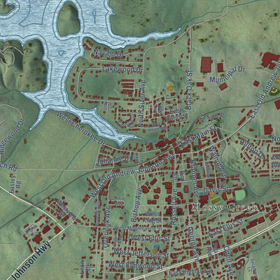Close-up of the map of Jefferson City, Tennessee print showing street and building detail