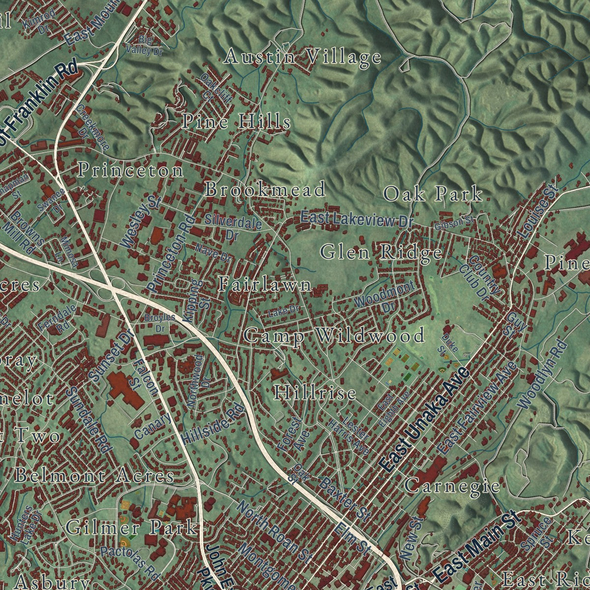 Close-up of the map of Johnson City, Tennessee print showing street and building detail