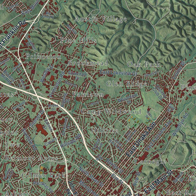 Close-up of the map of Johnson City, Tennessee print showing street and building detail