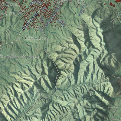 Second close-up of the map of Johnson City, Tennessee print showing more streets and buildings