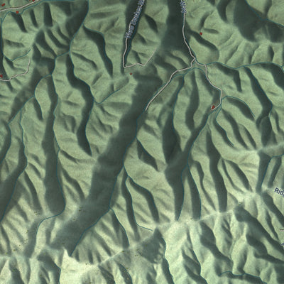 Close-up of the map of Jones Cove, Tennessee print showing street and building detail