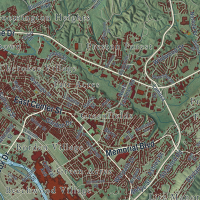 Close-up of the map of Kingsport, Tennessee print showing street and building detail