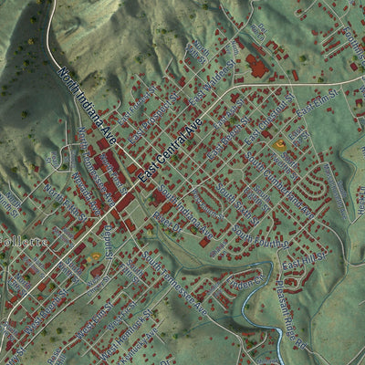 Close-up of the map of La Follette, Tennessee print showing street and building detail