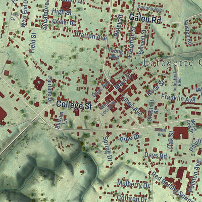 Close-up of the map of Lafayette, Tennessee print showing street and building detail