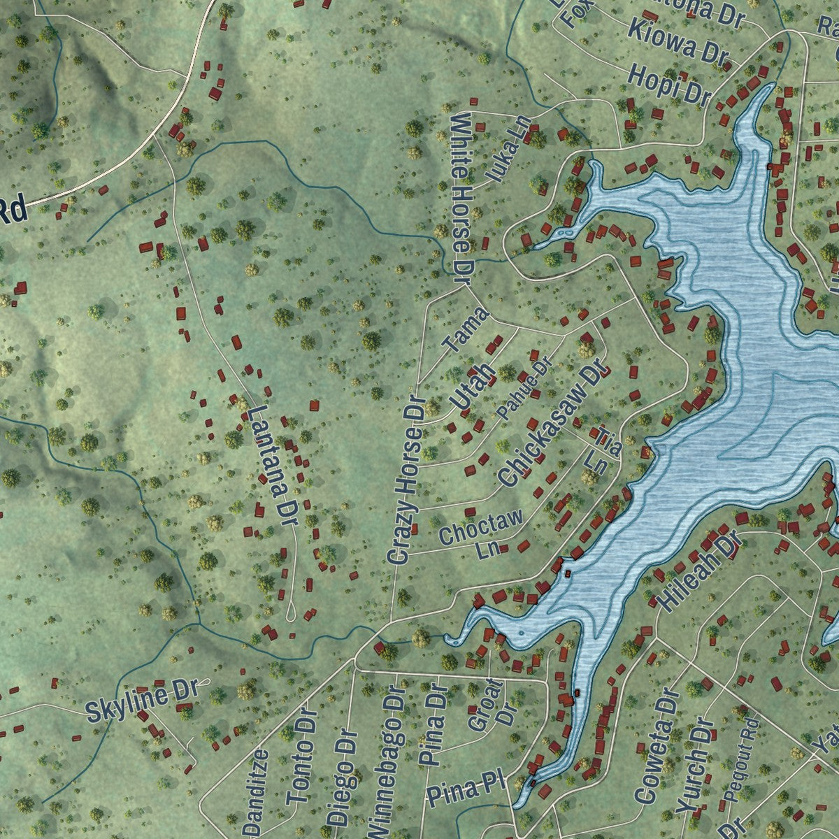 Second close-up of the map of Lake Tansi, Tennessee print showing more streets and buildings