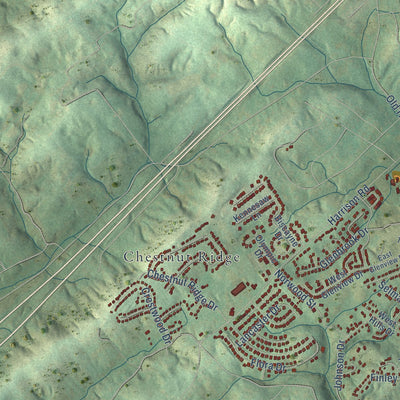 Second close-up of the map of Lenoir City, Tennessee print showing more streets and buildings