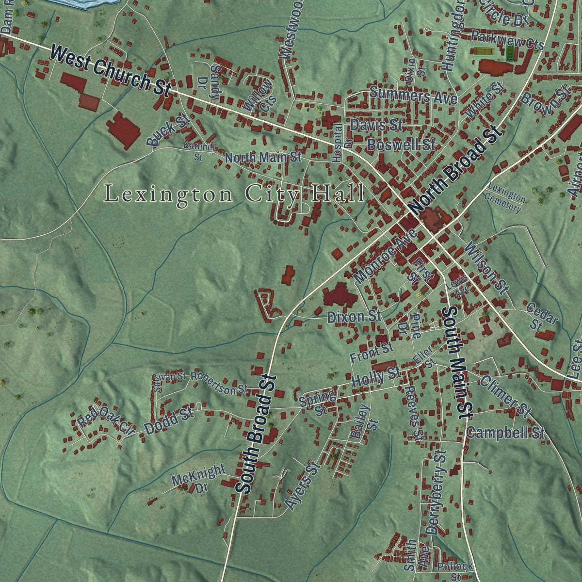 Close-up of the map of Lexington, Tennessee print showing street and building detail